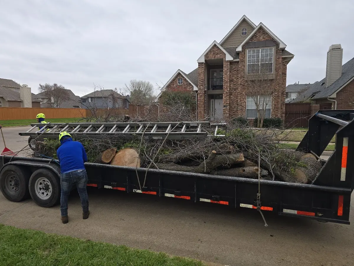 Expert Lot Clearing with proper safety equipment in Noble